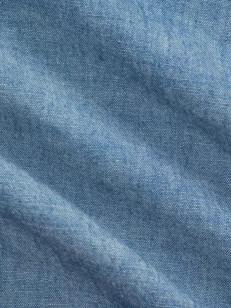 Cămașă Ralph Lauren Rrl albastru