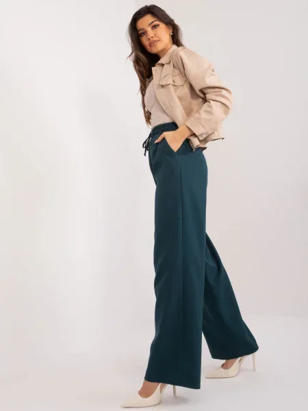 Hlače Fashionhunters tamnoplava