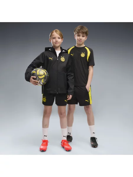PUMA Młodzieżowe szorty treningowe Borussia Dortmund Odzież czarny