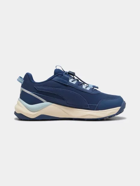 Детские кроссовки Puma синие