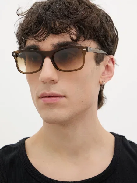 Ray-Ban Sončna očala rjava