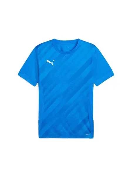 Koszulka dla dzieci Puma teamGoal Graphic niebieska