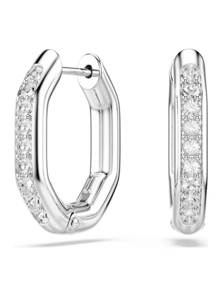 Swarovski Akcesoria Kobieta ONE SIZE Kolczyki Dextera szary