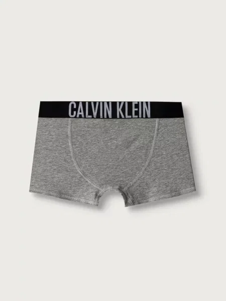 Calvin Klein Underwear testhezálló boxeralsó gyerek elasztánnal csomag szürke