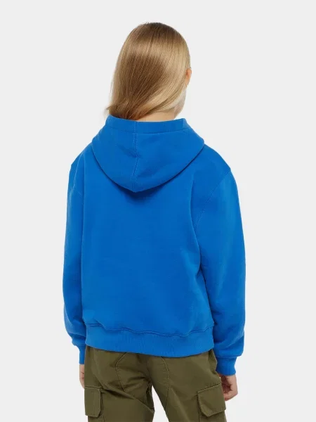 Детское худи Dickies синее