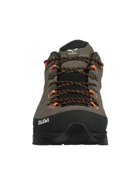 Pánske trekové topánky Salewa Alp Trainer 2 GTX brown hnedá