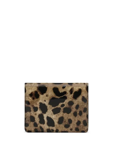 Raštuotas piniginė Dolce & Gabbana leopardinis ruda