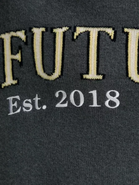 Pulover From Future cu broderie cu decolteu în U gri