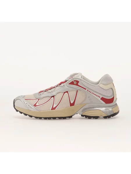 Кросівки Salomon Advanced срібні