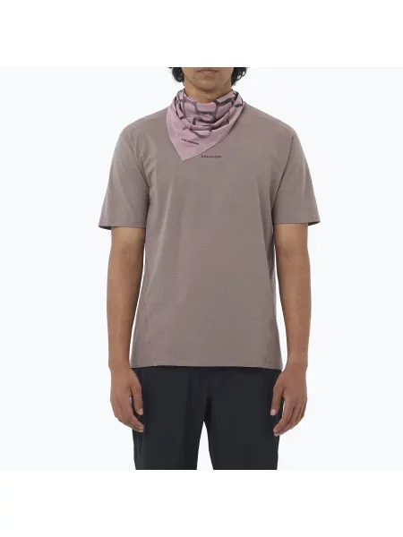 Tricou pentru bărbați Salomon Trackline iron
