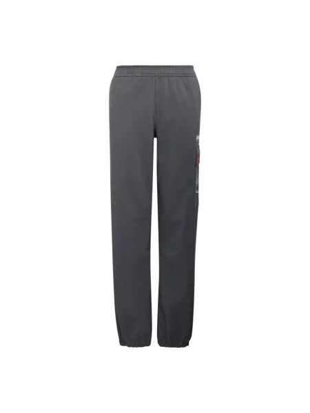 ADIDAS TERREX Pantaloni outdoor Minecraft azur / gri închis / negru alb