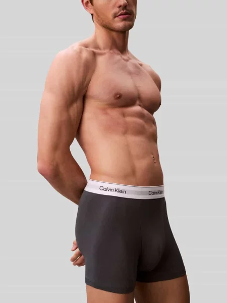 Obcisłe bokserki o kroju regular fit z mieszanki bawełny w zestawie 3 szt. Calvin Klein Underwear szare