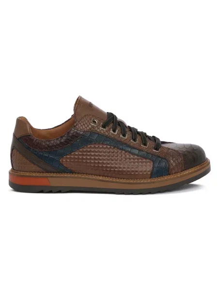 Pantofi Exton maro