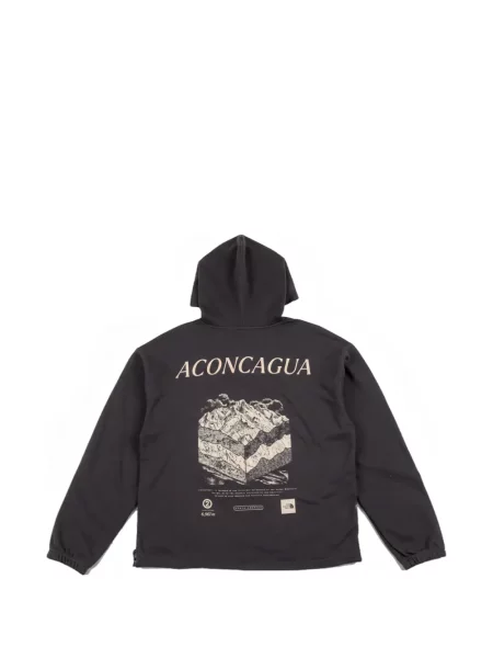 Hanorac cu glugă The North Face gri