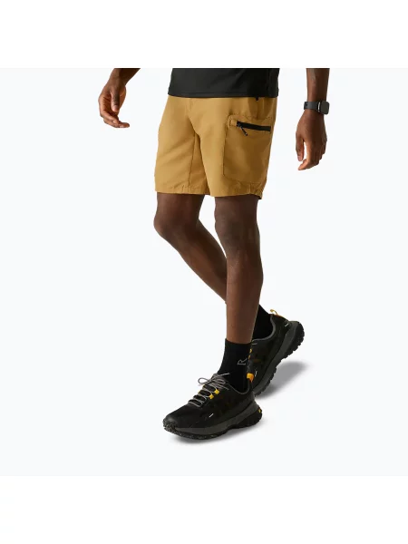 Мъжки шорти за трекинг REGATTA Leesville III wood brown жълто