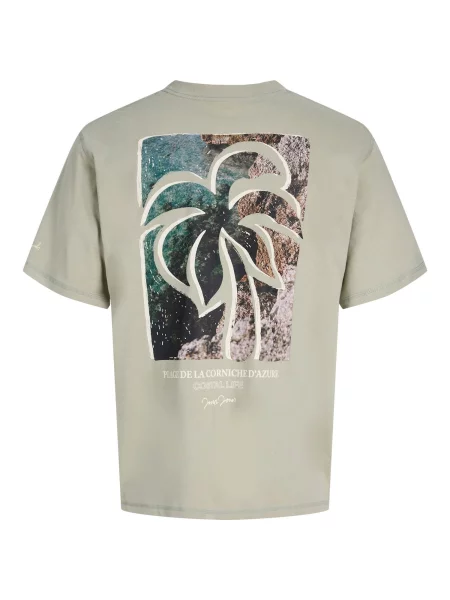 JACK & JONES Majica JORHyeres / cijansko modra / rjava / pastelno zelena bež