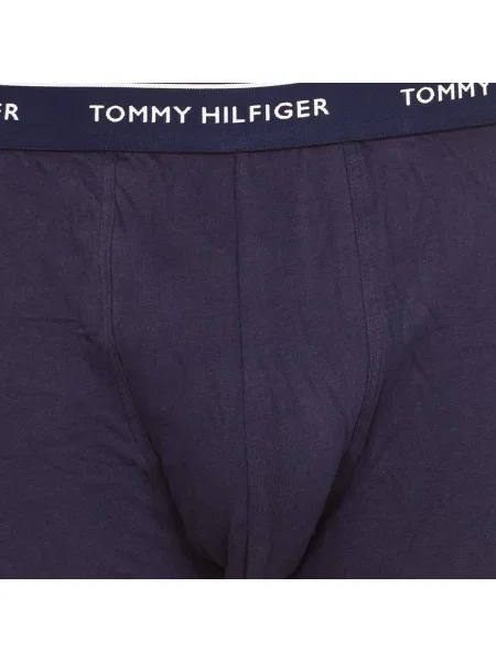 Chiloți Tommy Hilfiger albastru