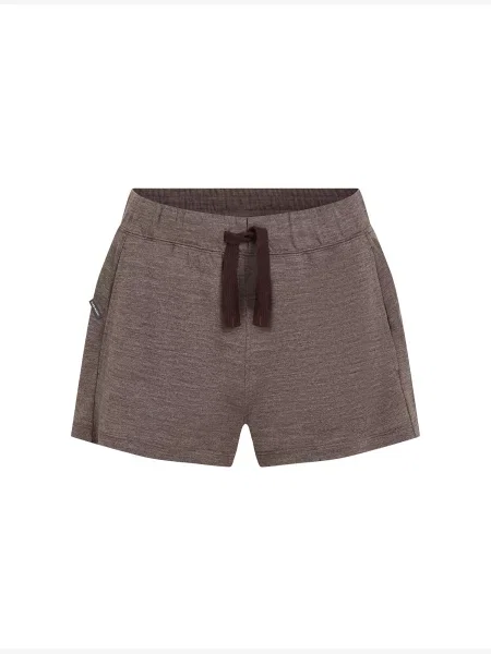 ICEBREAKER Pantaloni outdoor Crush II ciocolatiu