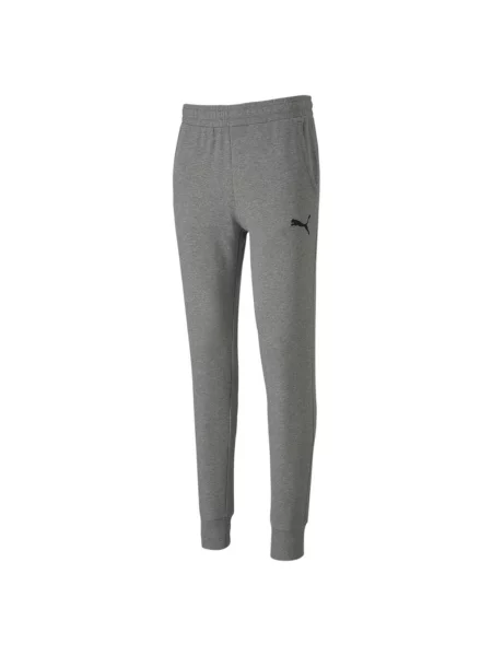 Spodnie Puma Team Goal 23 Casuals szare