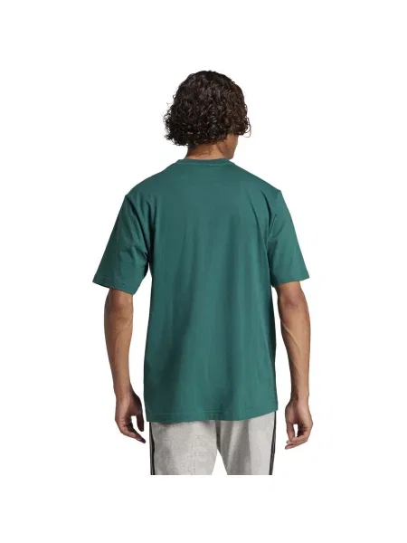 ADIDAS SPORTSWEAR Funkční tričko Essentials jedle / černá zelené