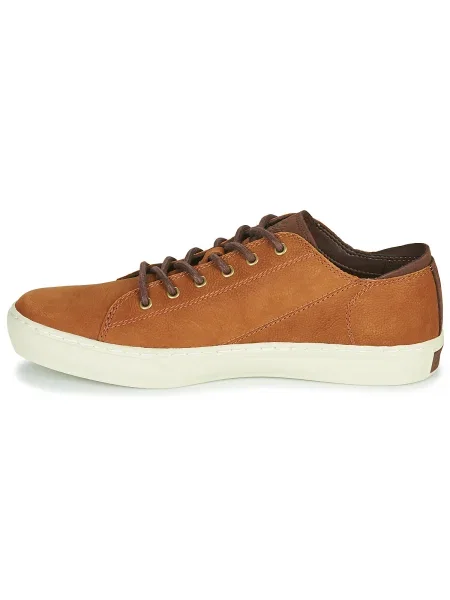 Tenisky Timberland hnedá