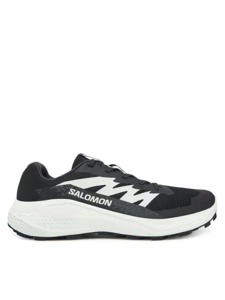 Salomon Маратонки за бягане Alphaglide черен