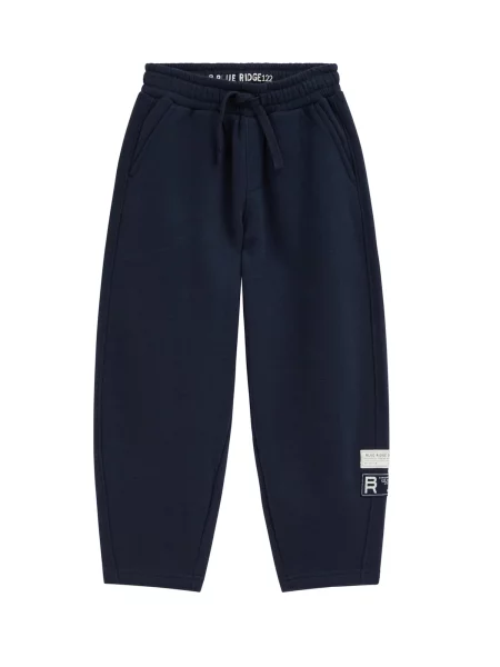 WE Fashion Pantaloni bleumarin