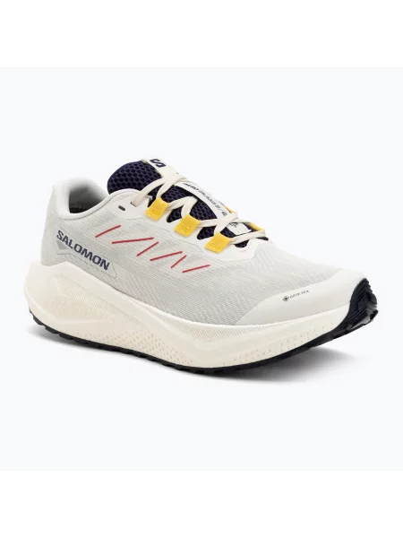 Încălțăminte de alergare pentru bărbați Salomon Aero Blaze 3 Gravel GTX vanilla ice/astral aura/lemon
