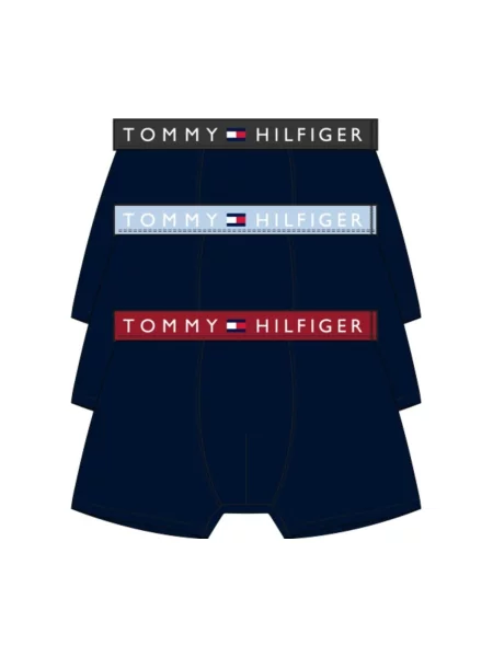 Gaćice Tommy Hilfiger