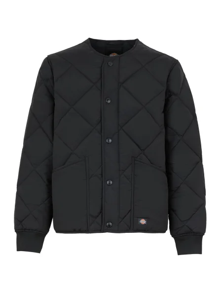 DICKIES Prehodna jakna SAMBURG' črna