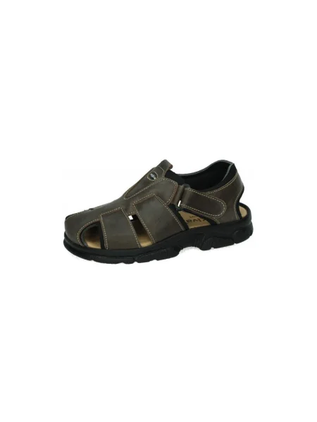 Pantofi Dliro maro