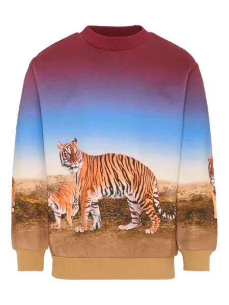 Bluza dziecięca Molo niebieska