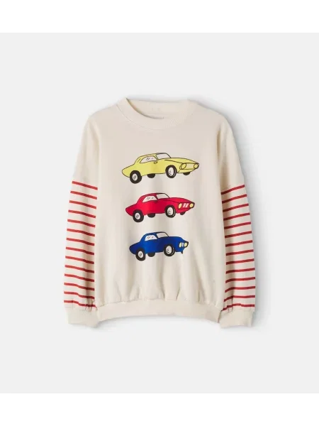 Суитчър Mini Rodini