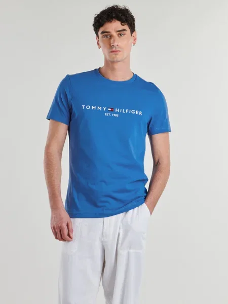 TOMMY HILFIGER Tričko námornícka / azúrová / červená / biela modrá