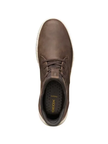 Fűzős bőr sneaker Geox barna