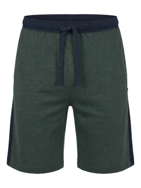 TOM TAILOR Pantaloni de pijama bleumarin / închis verde