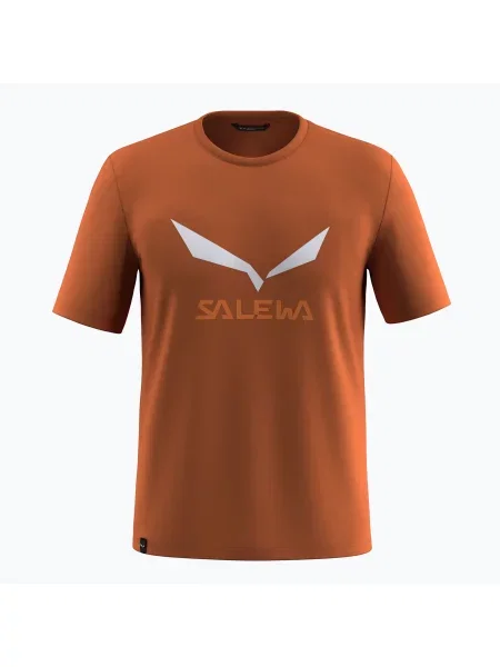 Tricou bărbați Salewa Solidlogo Dry bombay brown maro