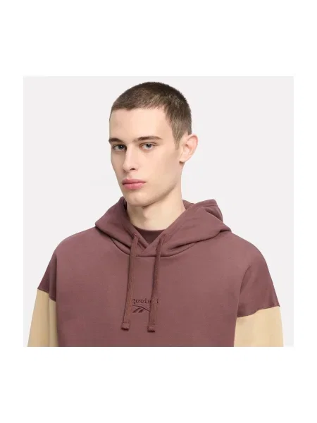 Hanorac cu glugă Reebok Sport clasic maro