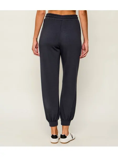 Pantaloni sport Ea7 gri