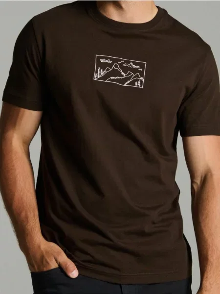 Sinsay koszulka z haftem brązowy