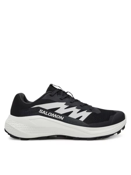 Salomon Взуття для бігу Alphaglide чорний