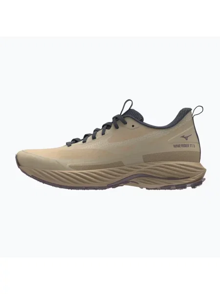 Бігові кросівки Mizuno Wave Rider TT 3 curds&whey/summer sand/moonscape