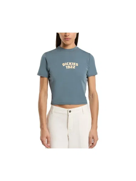 Polo Dickies albastru