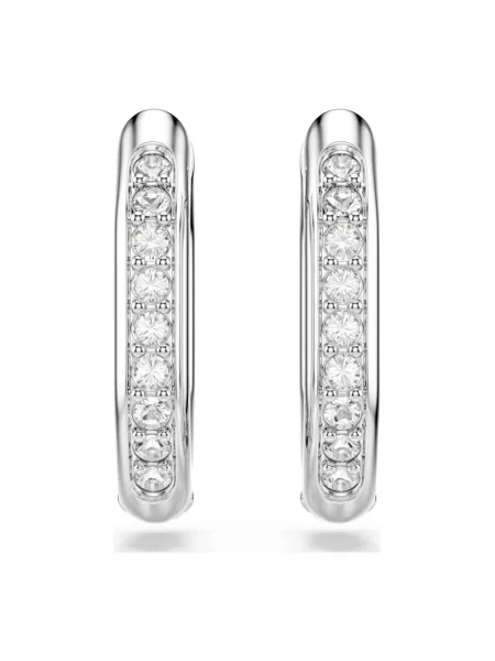 Swarovski Akcesoria Kobieta ONE SIZE Kolczyki Dextera szary