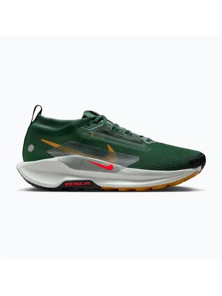 Мъжки обувки за бягане Nike Pegasus Trail 5 GORE-TEX fir/bright crimson/clay green зелено