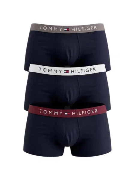 Chiloți Tommy Hilfiger gri