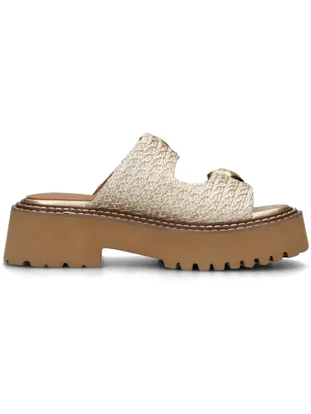 Pantofi Noa Harmon auriu