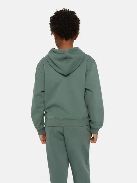 Дитяче Худі Dickies Oakport зелений