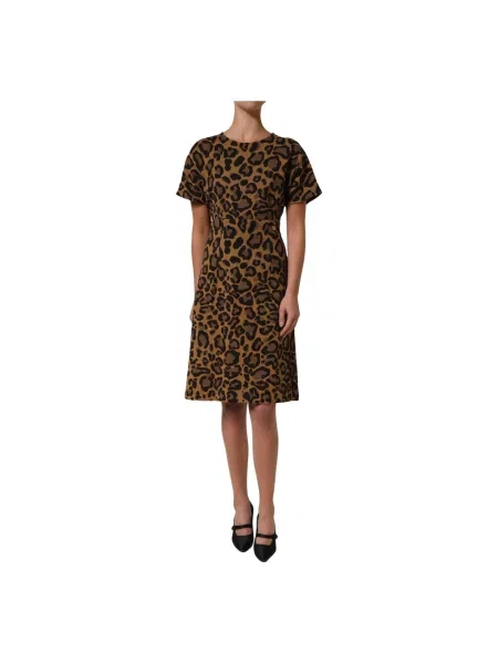 Sukienka Dolce And Gabbana brązowa