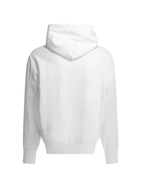 Džemper Polo Ralph Lauren s kapuljačom s printom siva